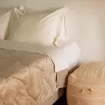 Honey Bee House