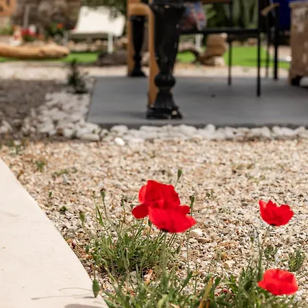 Honey Bee House Appartement