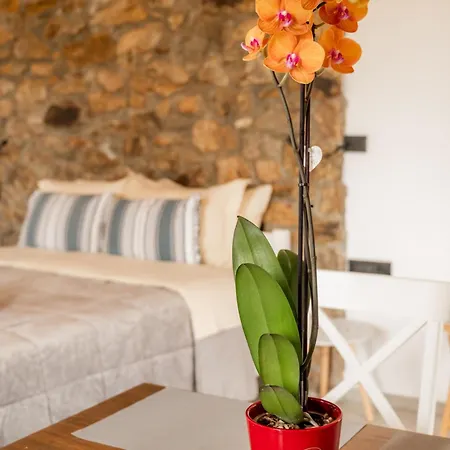 Appartement Honey Bee House *