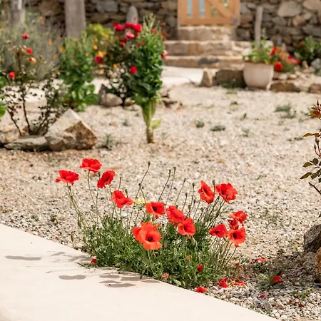 Honey Bee House Appartamento *