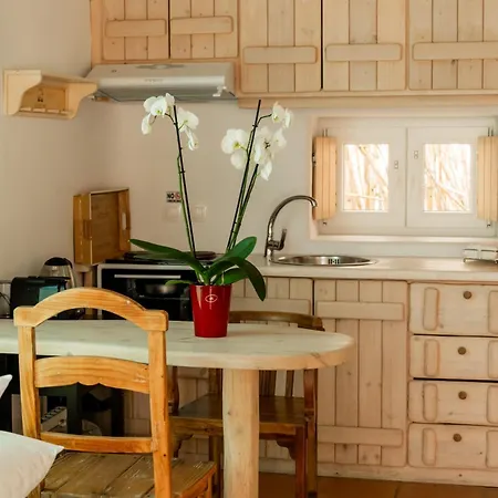 Honey Bee House Appartamento *