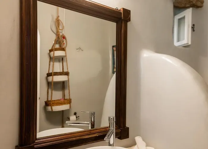 Daire Honey Bee House