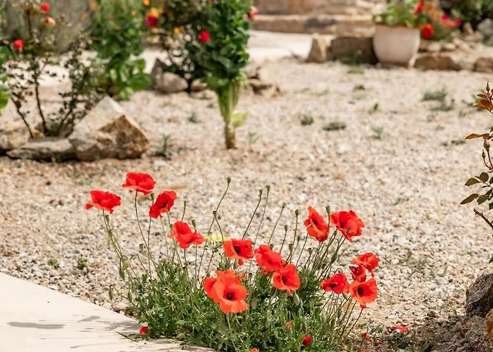 Honey Bee House Daire *